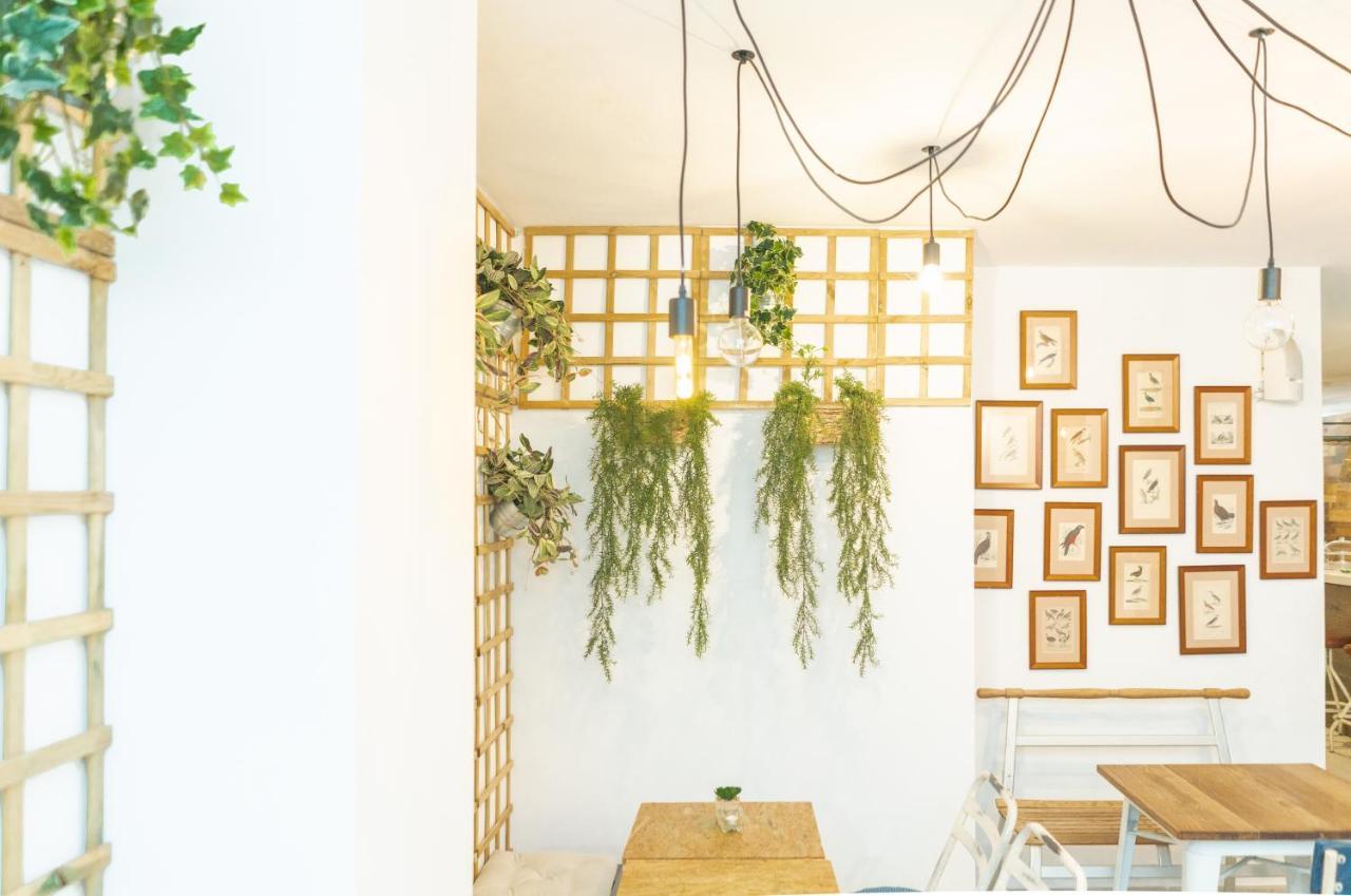 Picnic Dreams Boutique Hostel Малага Екстериор снимка